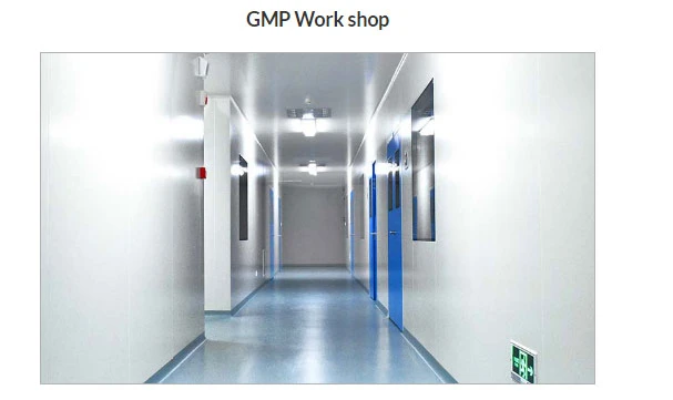 GMP Workshop Clean Room