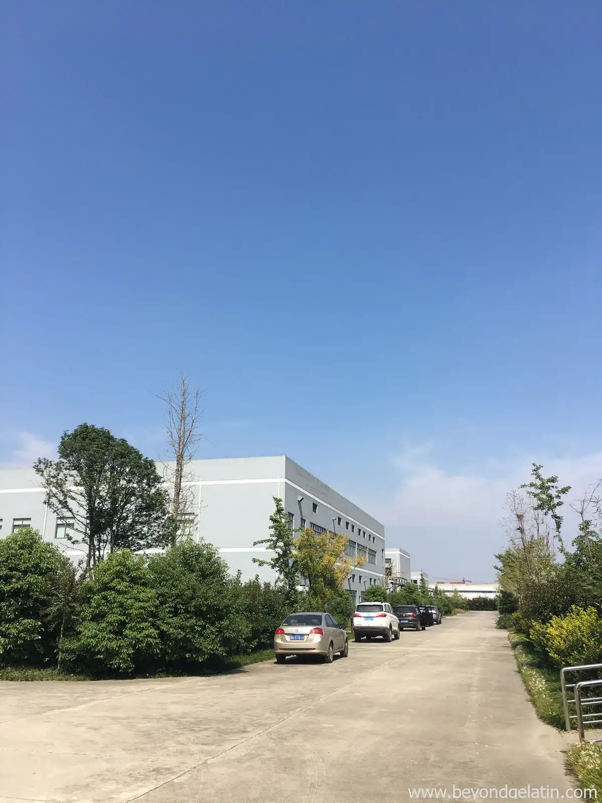 Linee di Produzione
