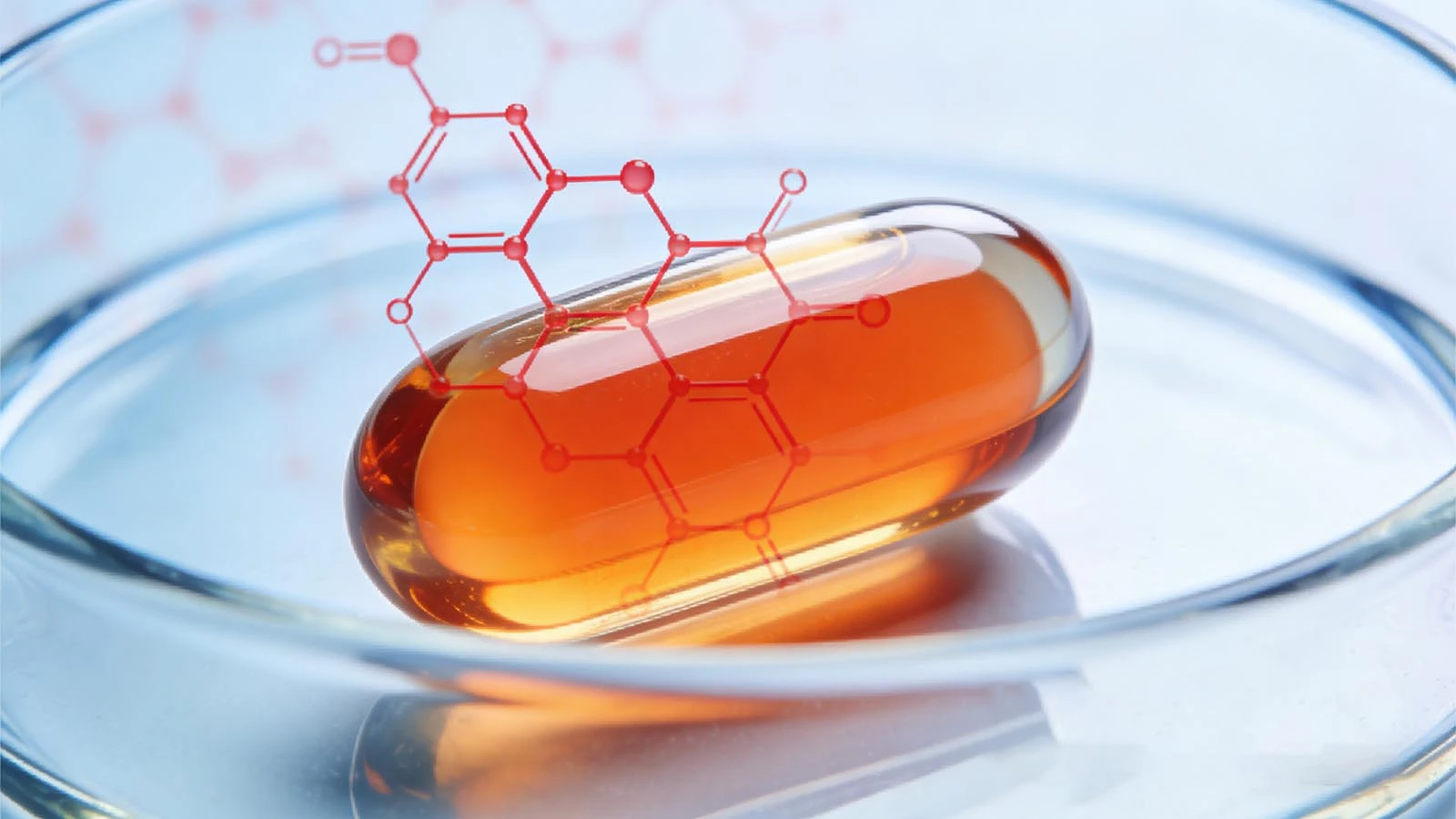 生医用及び注射剤グレード（低エンドトキシン）