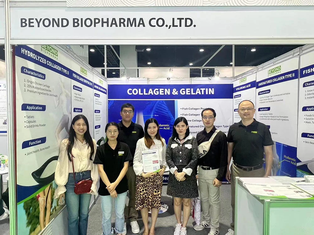 प्रदर्शनी 10