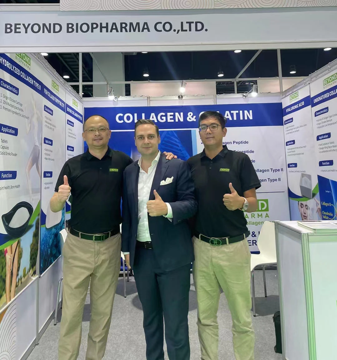 प्रदर्शनी 2