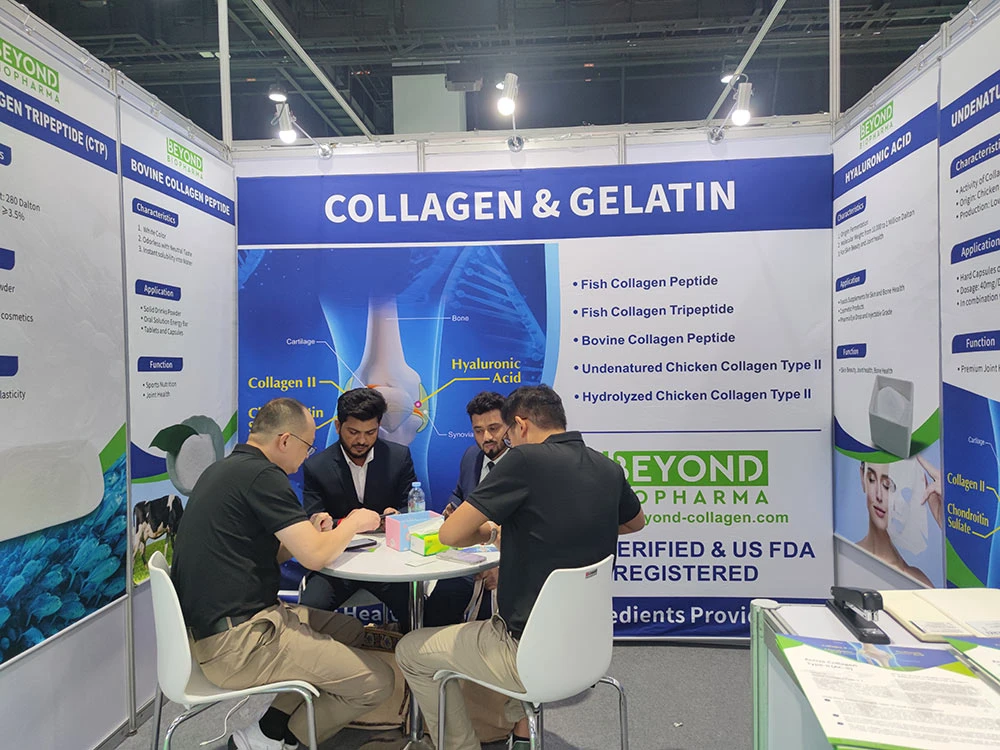 प्रदर्शनी 3