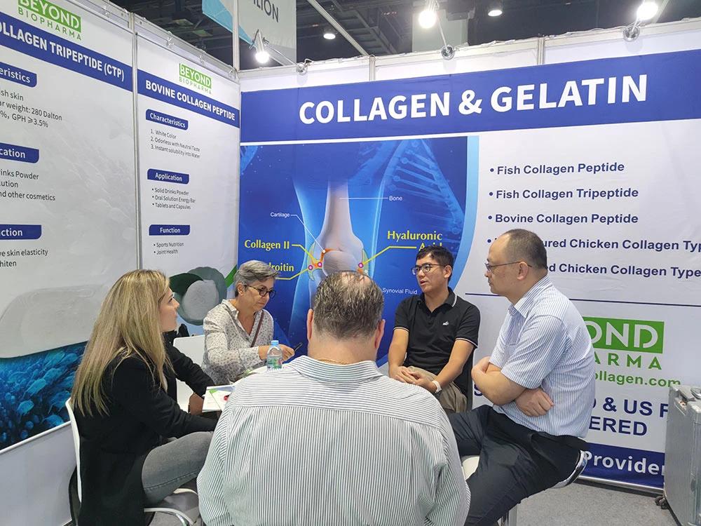 प्रदर्शनी 8