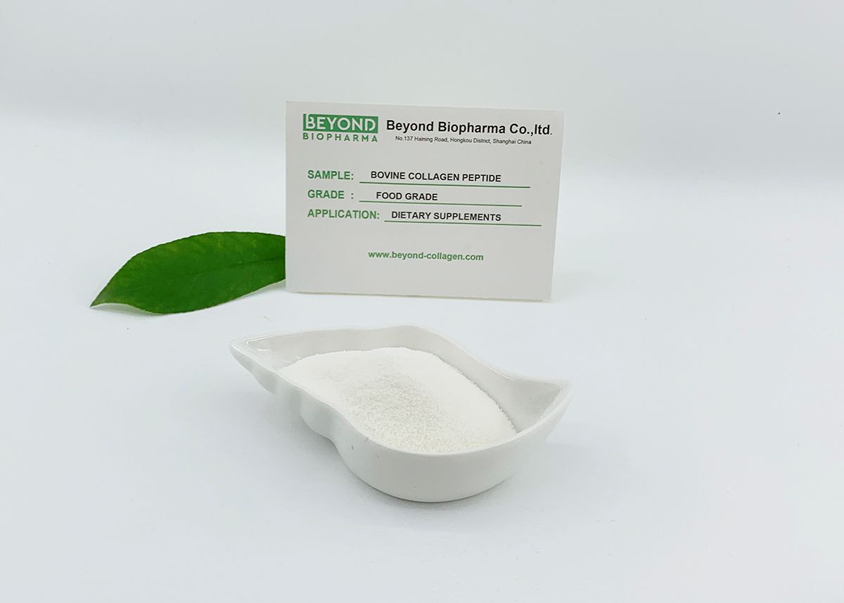 Premium Pharmaceutical Gelatin Powder for Capsule Manufacturing