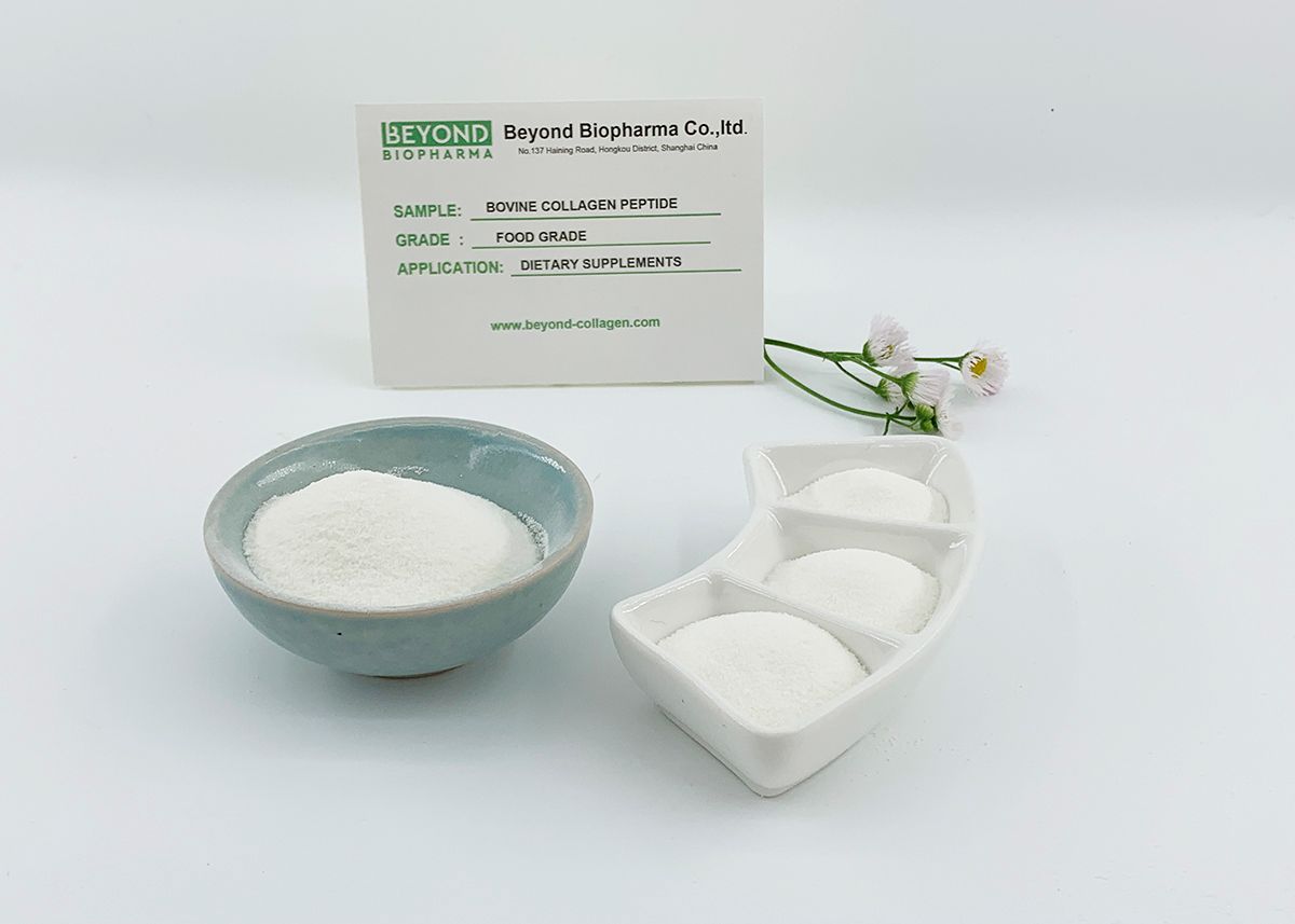 Premium Pharmaceutical Gelatin Powder for Capsule Manufacturing