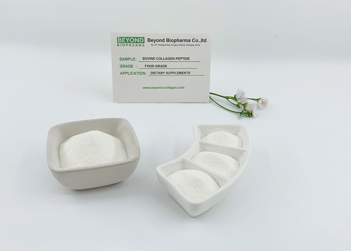 Premium Pharmaceutical Gelatin Powder for Capsule Manufacturing