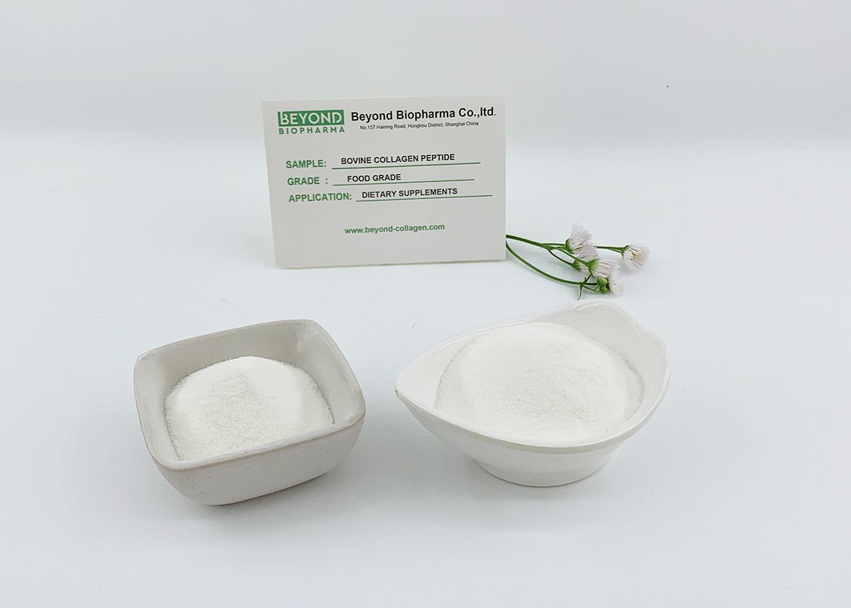 Premium Pharmaceutical Gelatin Powder for Capsule Manufacturing