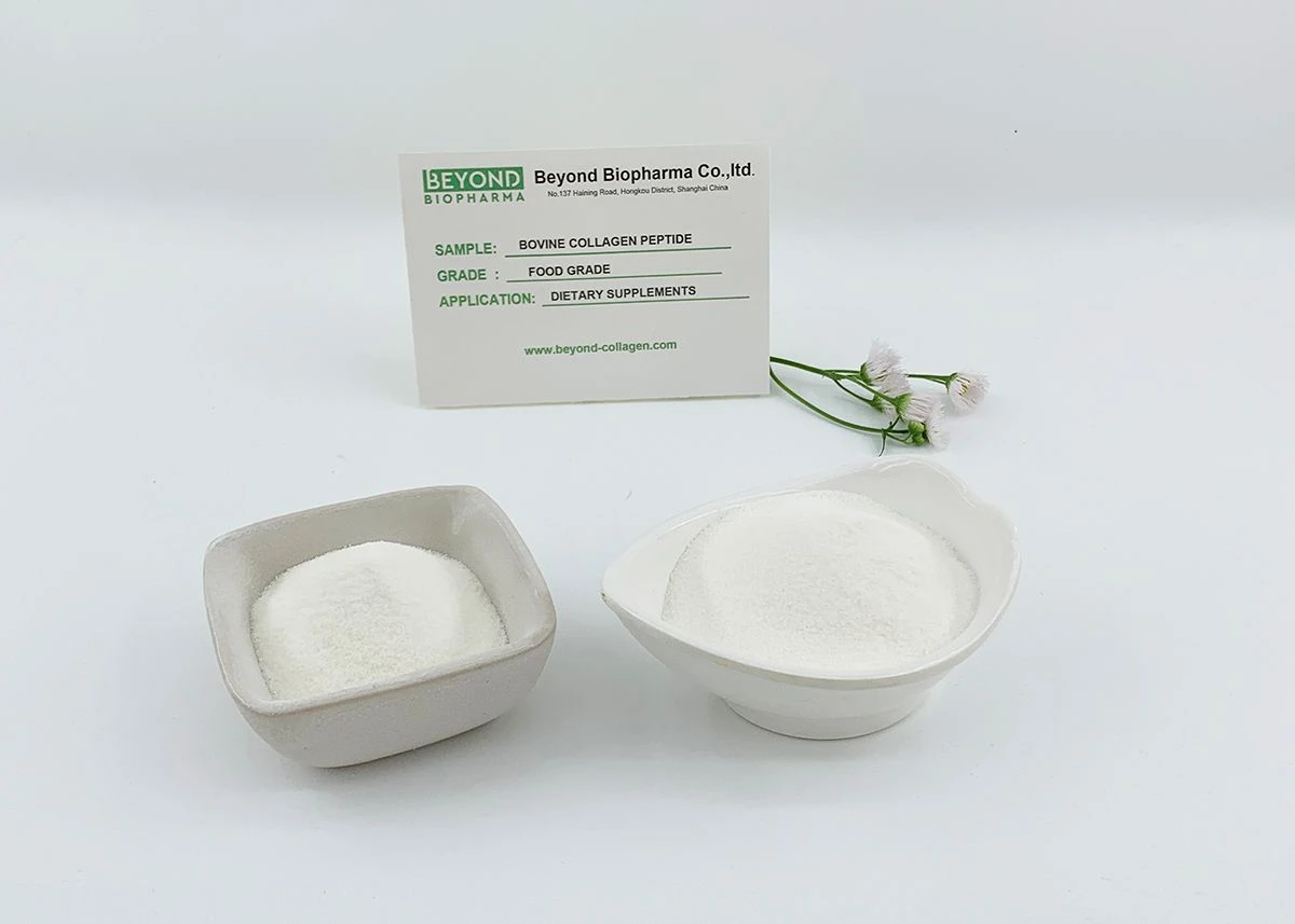 Premium Pharmaceutical Gelatin Powder for Capsule Manufacturing