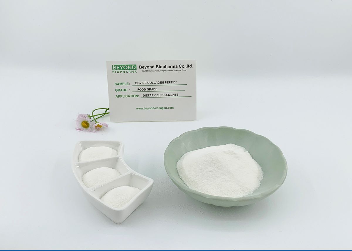 Premium Pharmaceutical Gelatin Powder for Capsule Manufacturing