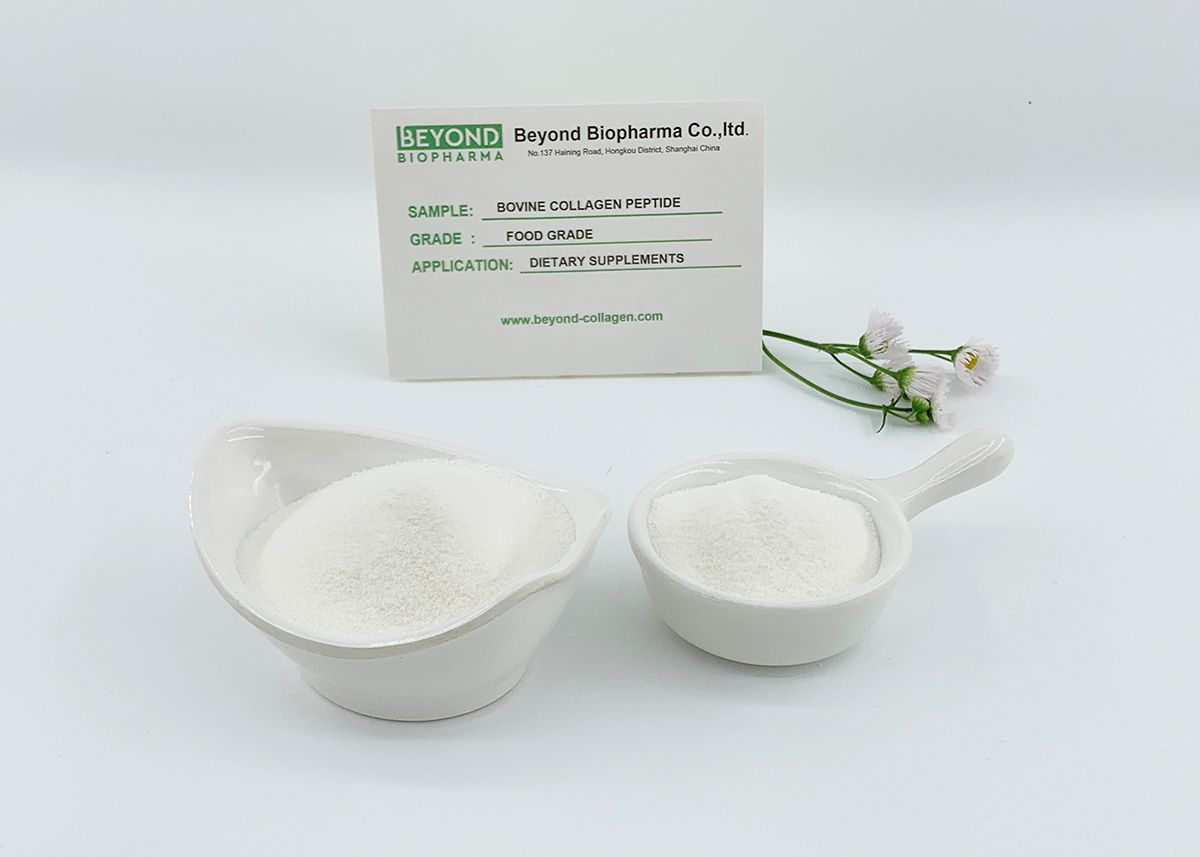 Premium Pharmaceutical Gelatin Powder for Capsule Manufacturing