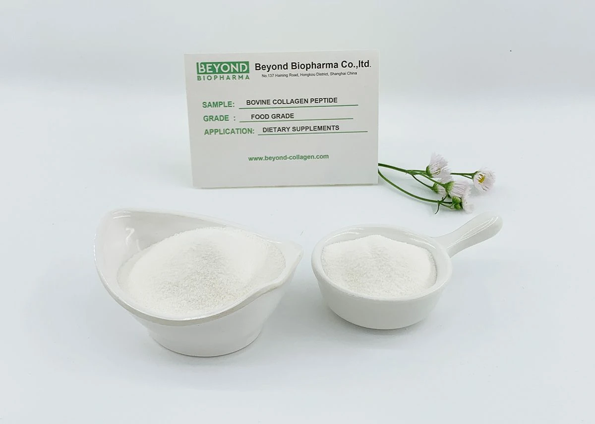 Premium Pharmaceutical Gelatin Powder for Capsule Manufacturing