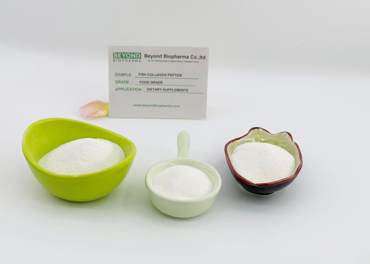 Premium Pharmaceutical Gelatin Powder for Capsule Manufacturing