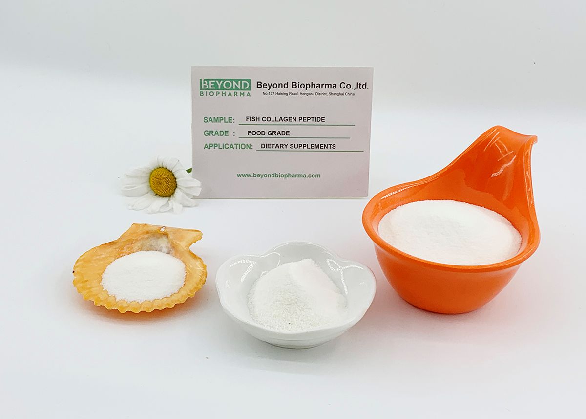 Premium Pharmaceutical Gelatin Powder for Capsule Manufacturing