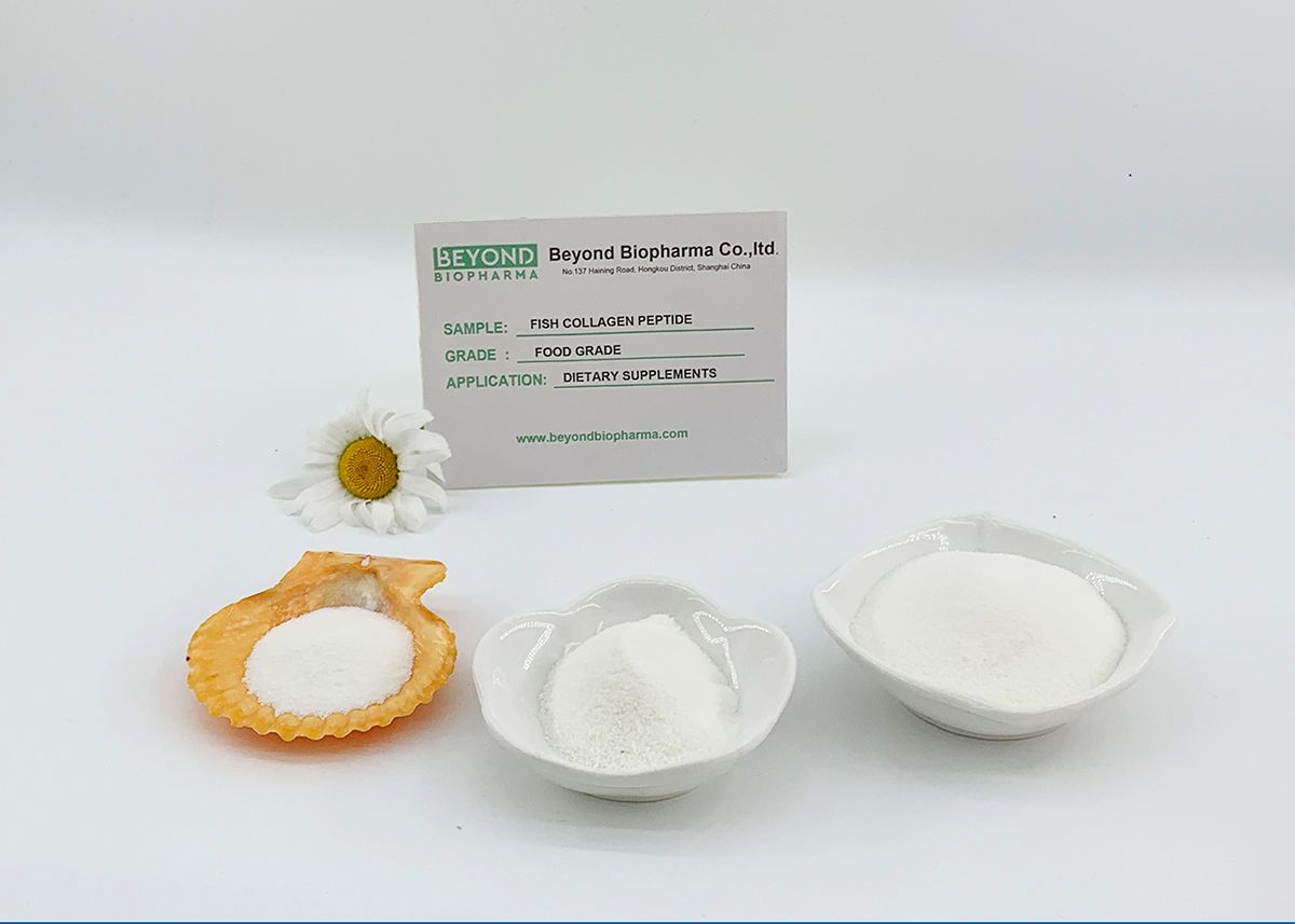 Premium Pharmaceutical Gelatin Powder for Capsule Manufacturing