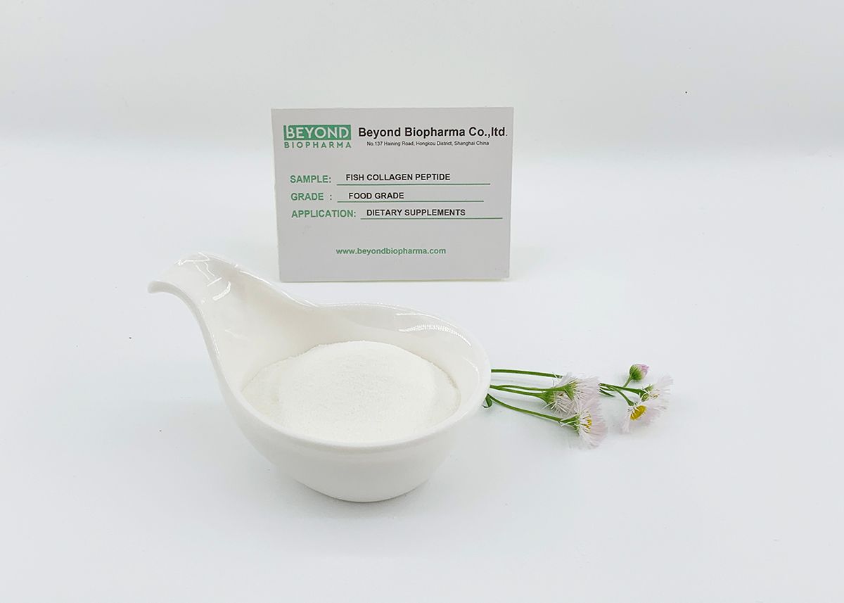 Premium Pharmaceutical Gelatin Powder for Capsule Manufacturing
