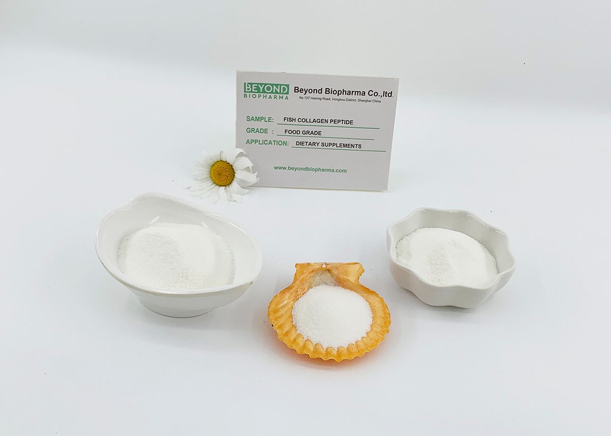 Premium Pharmaceutical Gelatin Powder for Capsule Manufacturing