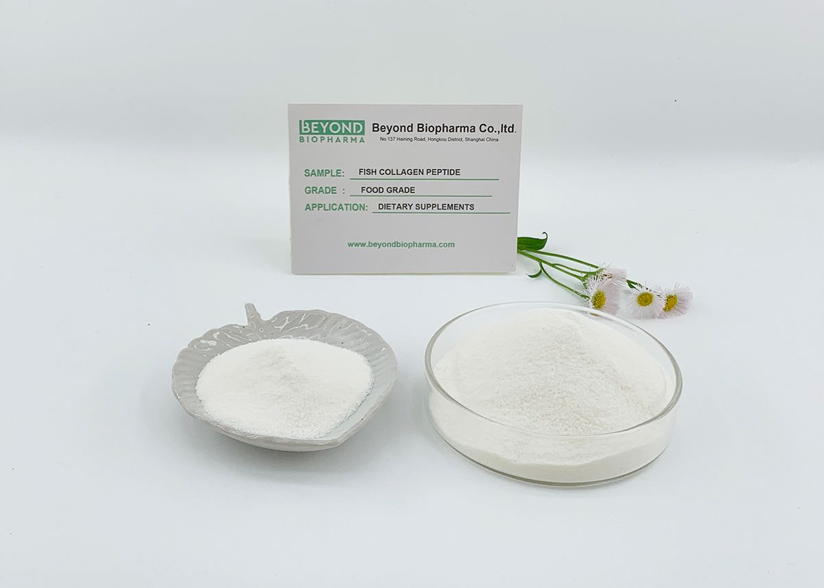 Premium Pharmaceutical Gelatin Powder for Capsule Manufacturing