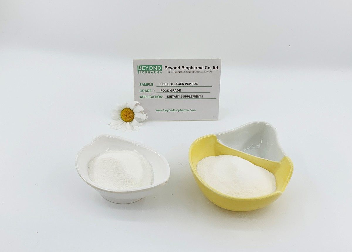 Premium Pharmaceutical Gelatin Powder for Capsule Manufacturing