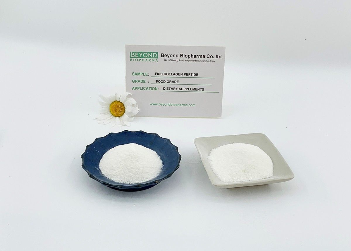 Premium Pharmaceutical Gelatin Powder for Capsule Manufacturing