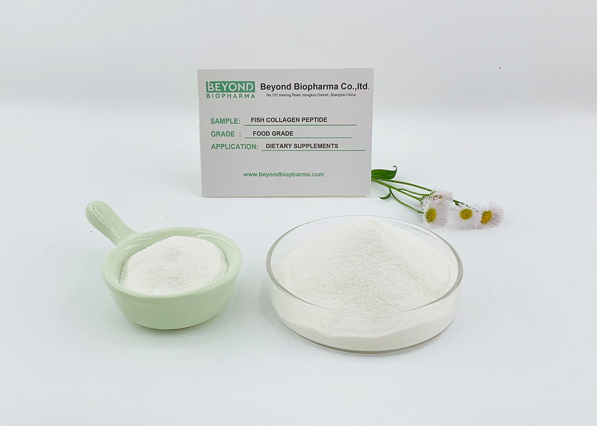 Premium Pharmaceutical Gelatin Powder for Capsule Manufacturing
