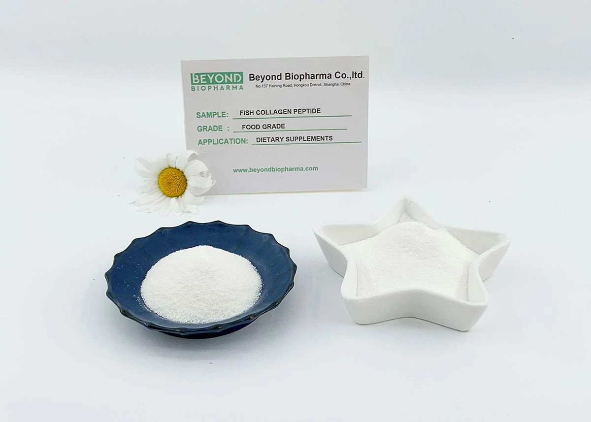 Premium Pharmaceutical Gelatin Powder for Capsule Manufacturing