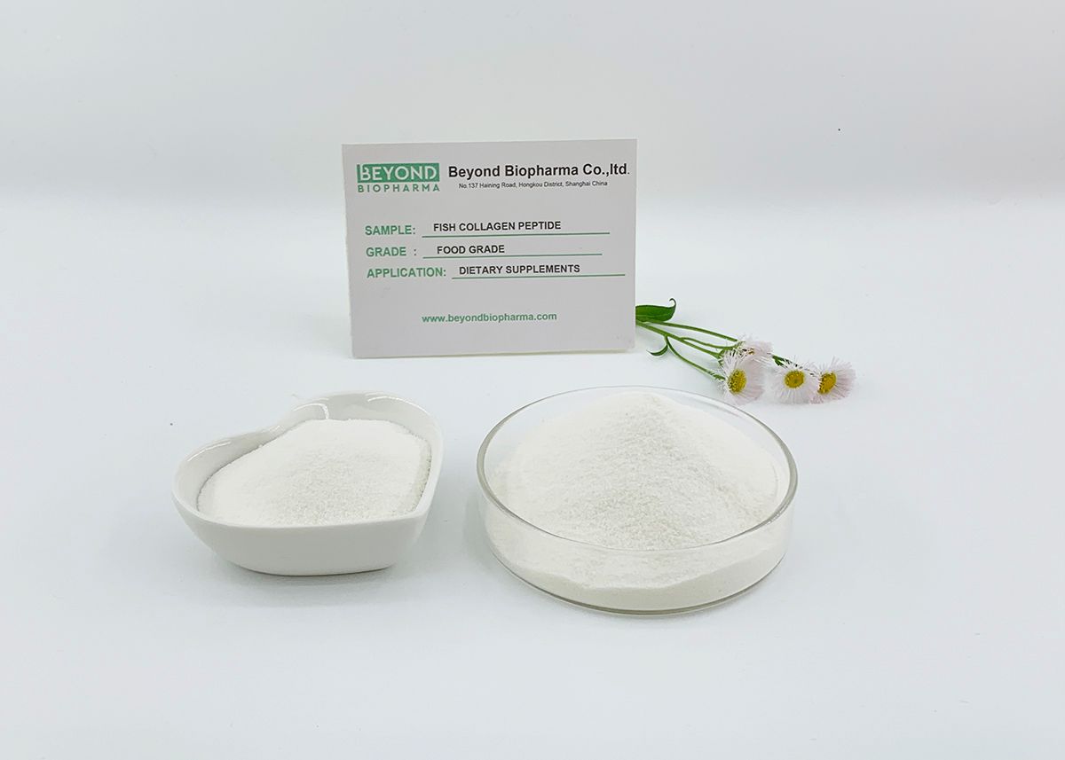 Premium Pharmaceutical Gelatin Powder for Capsule Manufacturing