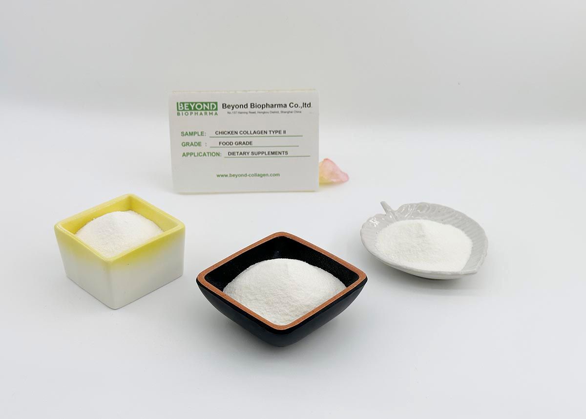 Premium Pharmaceutical Gelatin Powder for Capsule Manufacturing