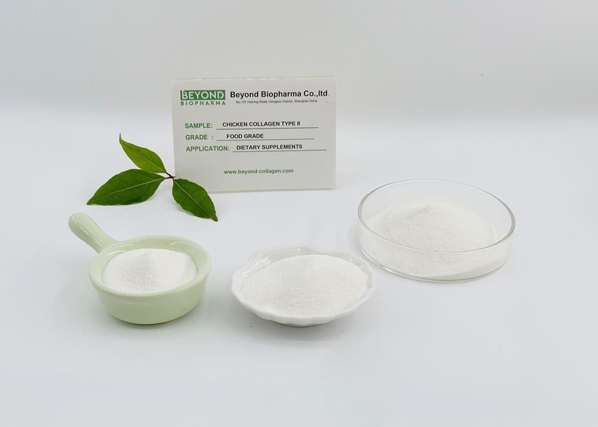 Premium Pharmaceutical Gelatin Powder for Capsule Manufacturing