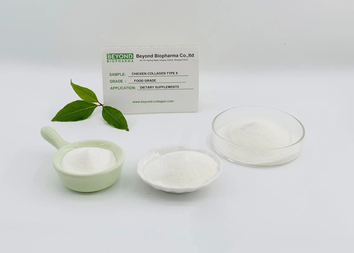 Premium Pharmaceutical Gelatin Powder for Capsule Manufacturing