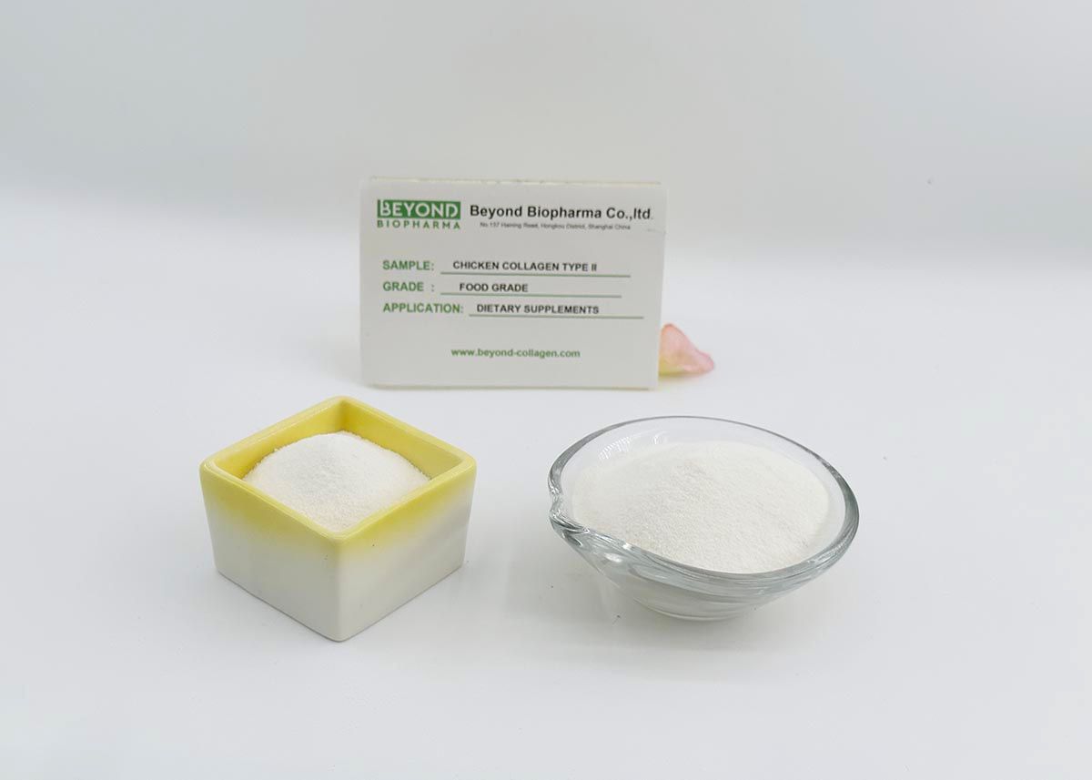 Premium Pharmaceutical Gelatin Powder for Capsule Manufacturing
