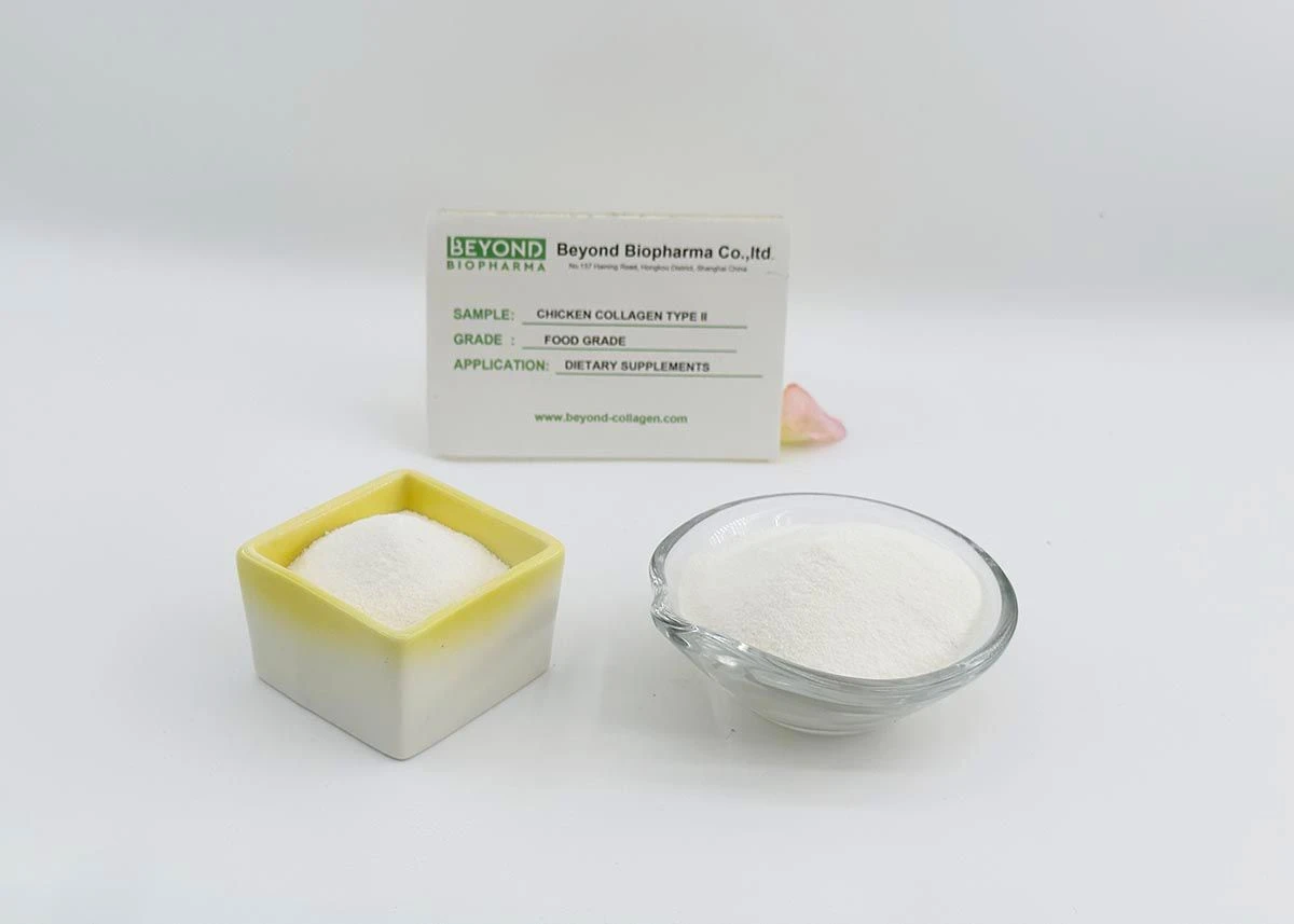 Premium Pharmaceutical Gelatin Powder for Capsule Manufacturing