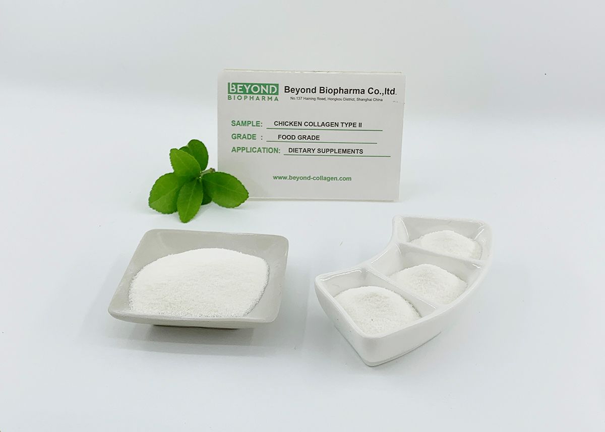 Premium Pharmaceutical Gelatin Powder for Capsule Manufacturing