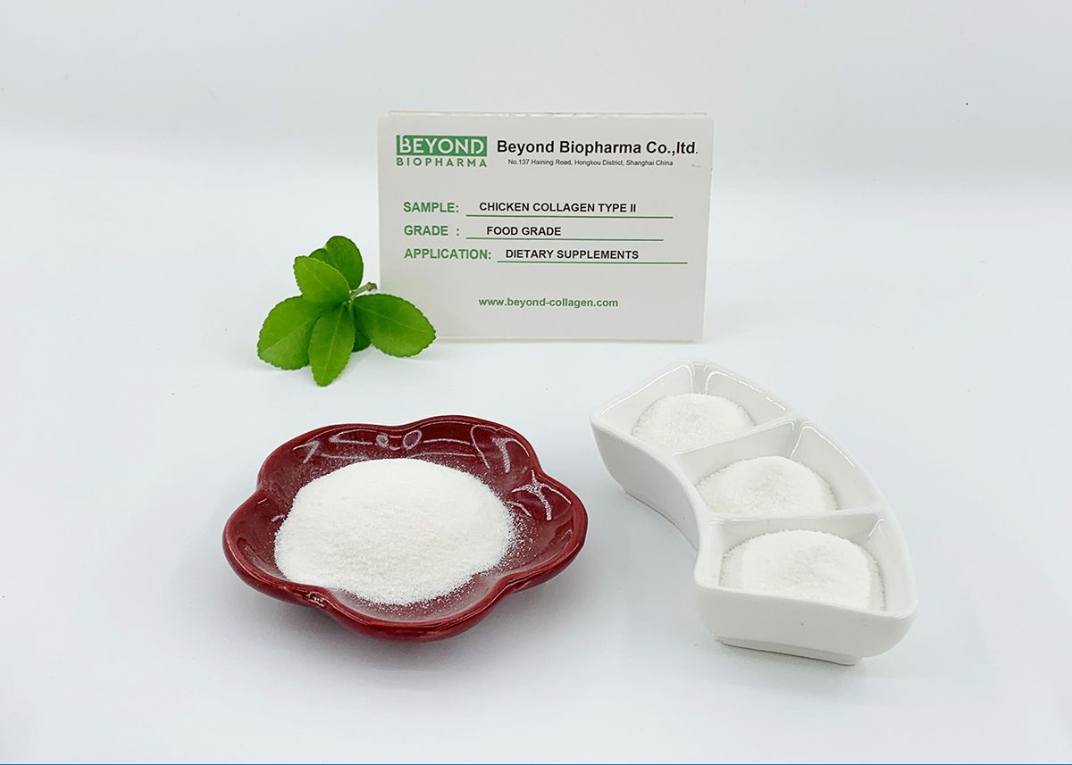 Premium Pharmaceutical Gelatin Powder for Capsule Manufacturing