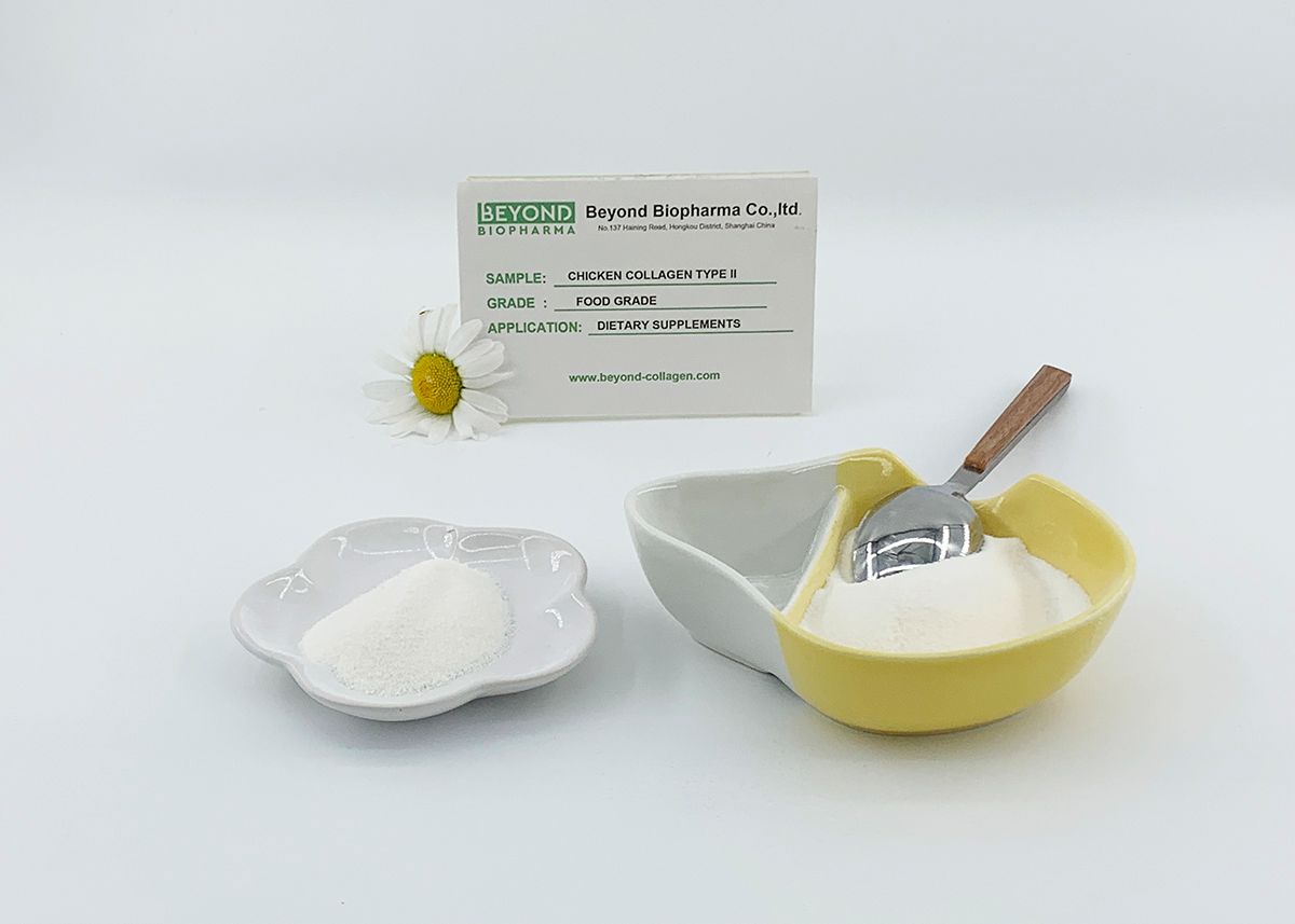 Premium Pharmaceutical Gelatin Powder for Capsule Manufacturing