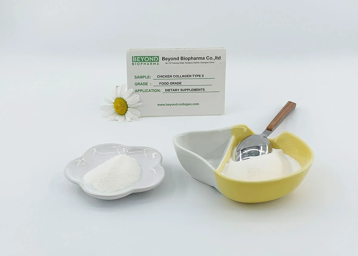 Premium Pharmaceutical Gelatin Powder for Capsule Manufacturing
