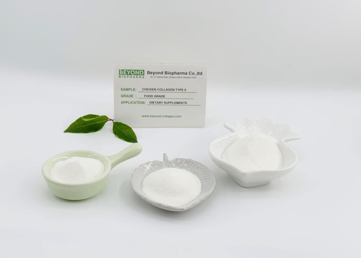 Premium Pharmaceutical Gelatin Powder for Capsule Manufacturing