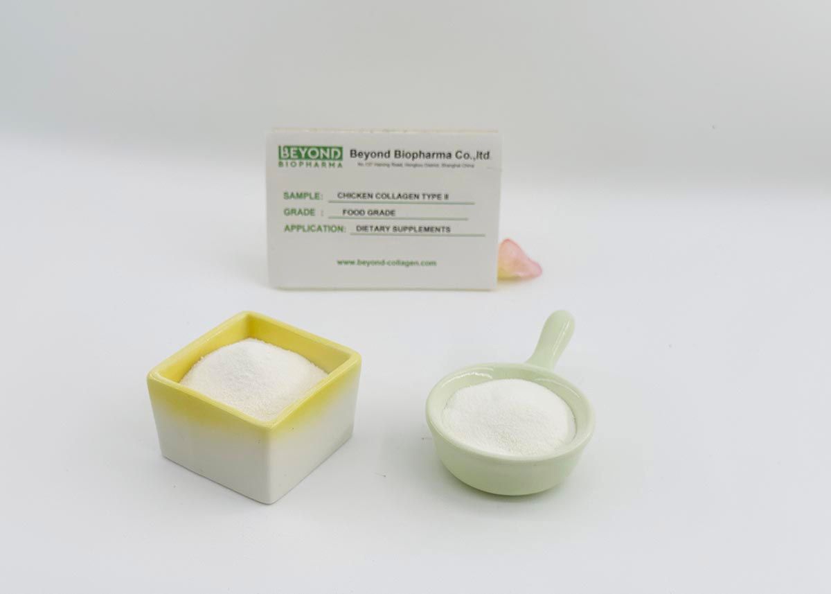 Premium Pharmaceutical Gelatin Powder for Capsule Manufacturing
