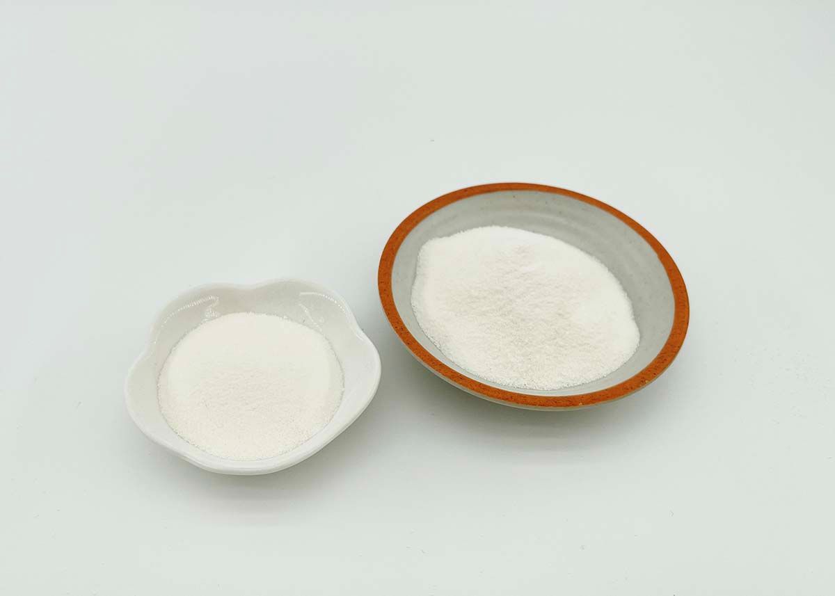 Undenatured Collagen Type II